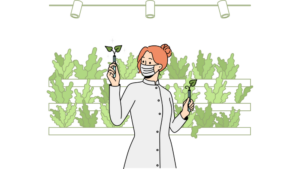 buat greenhouse guna penelitian tanaman