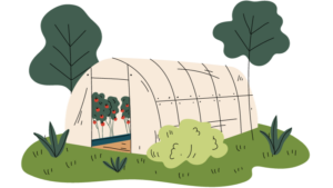buat greenhouse untuk pengendalian hama