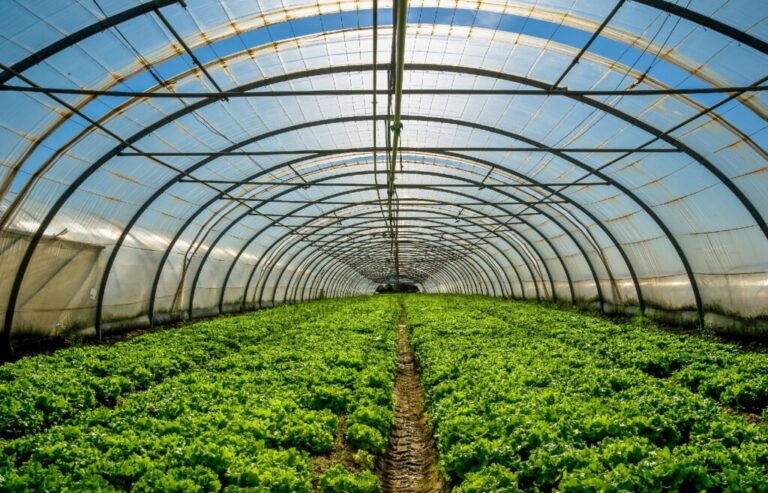 kelembaban dalam greenhouse