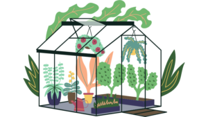 pembuatan greenhouse untuk pertanian berkelanjutan